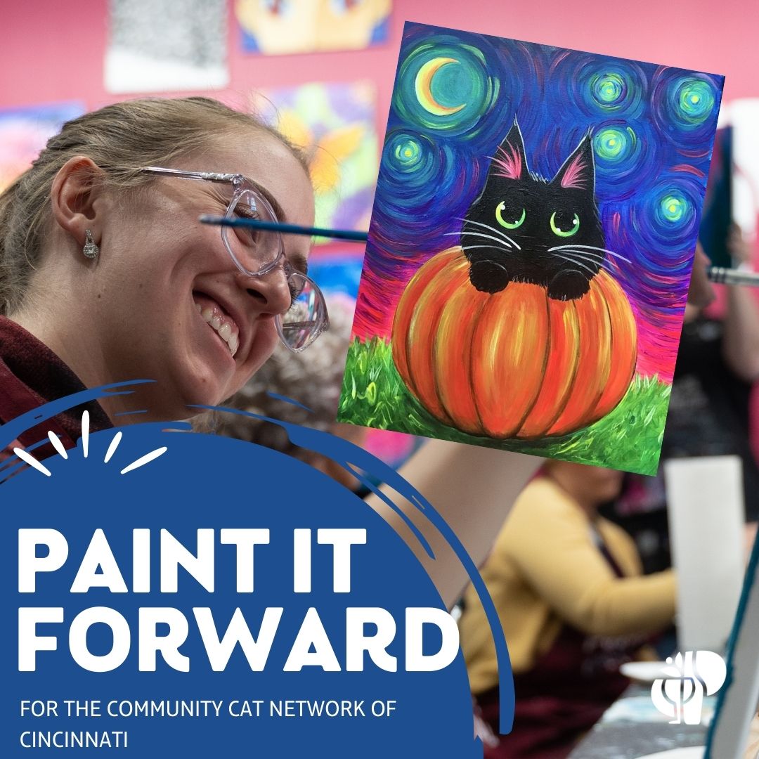 Paint it Forward for Community Cat Network of Cincinnati